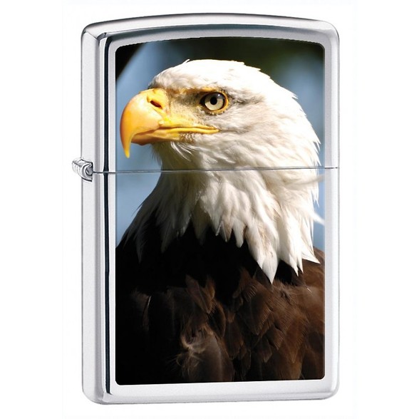 Zippo Bald Eagle (ANI 28048) - Lighter - In Stock at Gauntleys